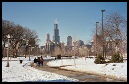 Skyline view from park