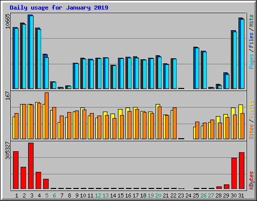 Daily usage for January 2019