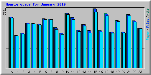 Hourly usage for January 2019