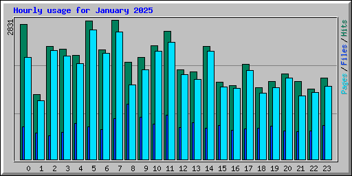 Hourly usage for January 2025