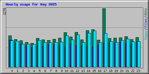 Hourly usage for May 2025