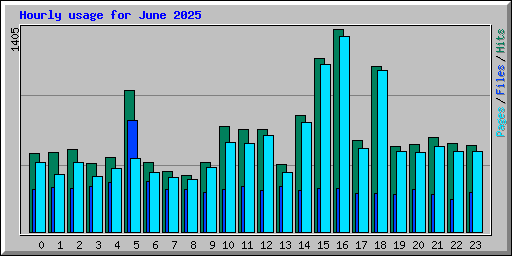 Hourly usage for June 2025