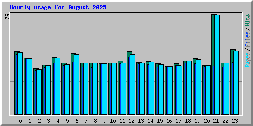 Hourly usage for August 2025