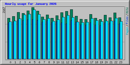 Hourly usage for January 2026